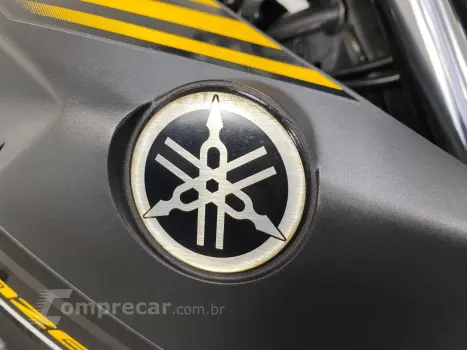 YAMAHA FAZER YS 250