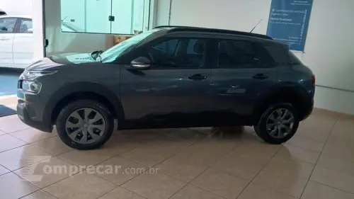 C4 CACTUS FEEL BUSINESS AUT